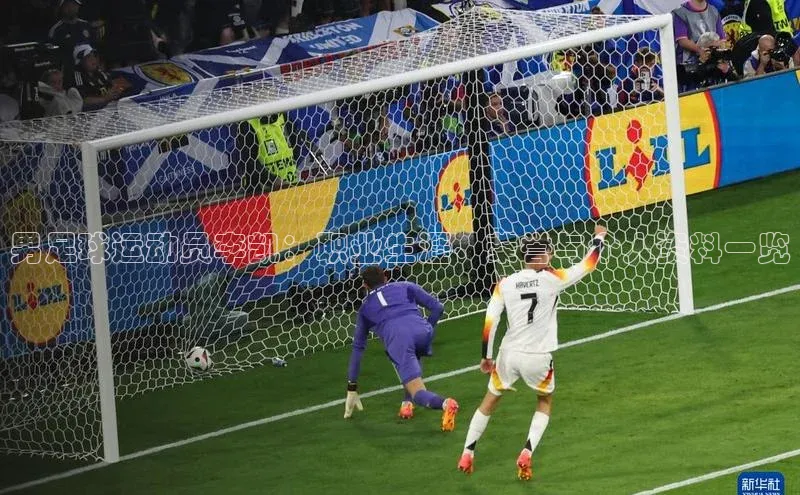 人人体育欧洲杯直播小红书