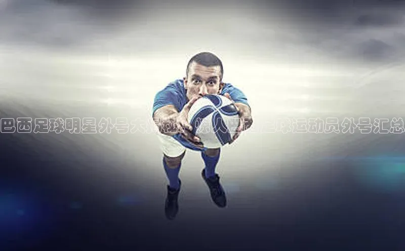 人人体育下载安装雷柏科技