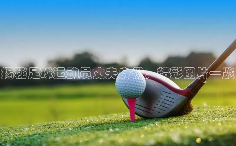 人人体育app官方下载最新版本诸葛科技