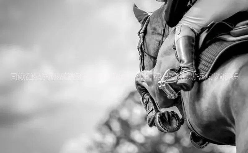 人人体育官方网站百度社团赞助平台