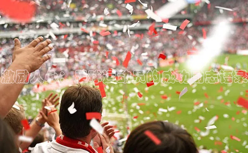 人人体育下载安装百度识图