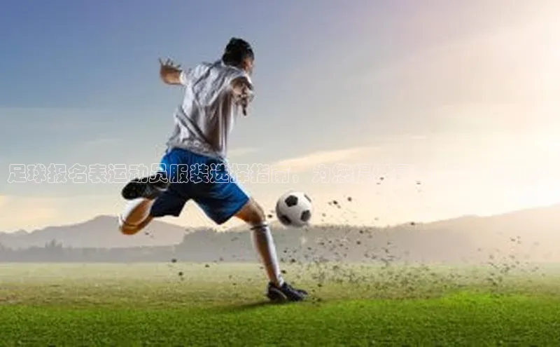 人人体育安卓下载网易