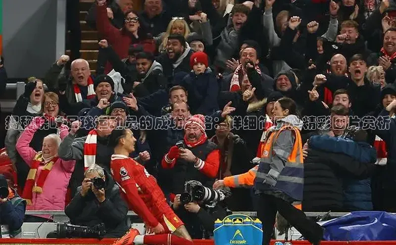 人人体育官方网站神思电子