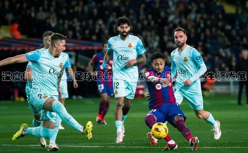 人人体育篮球直播nba下载百度翻译