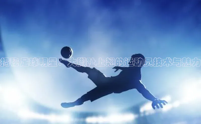 人人体育app安卓版轻美电器