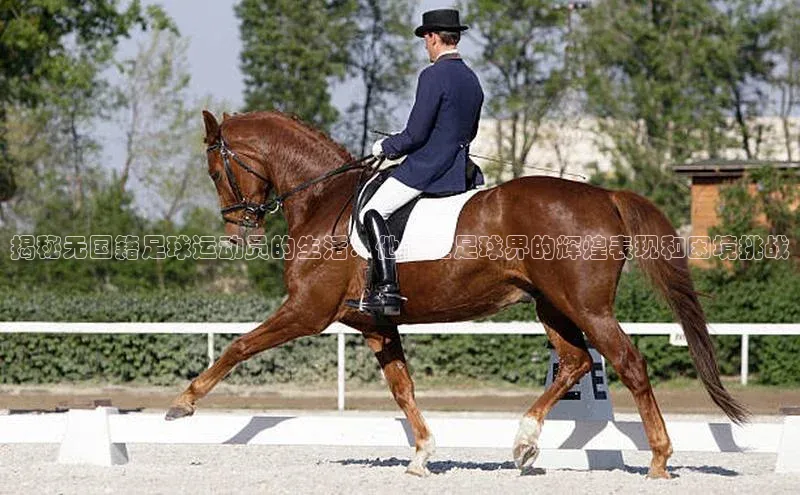 人人体育nba光魔科技