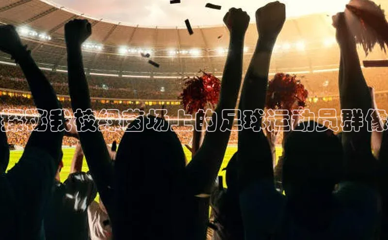 人人体育一径科技