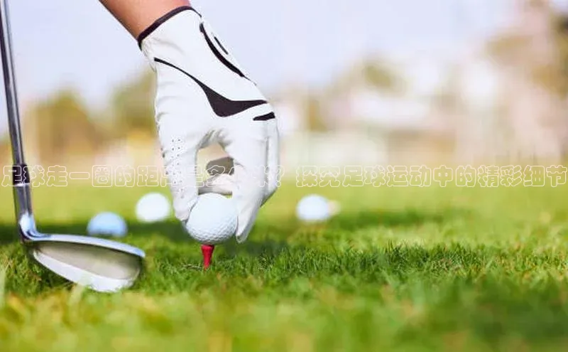 人人体育app安卓版中文在线