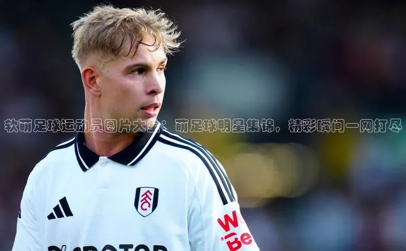 人人体育赛事直播ARGA公司