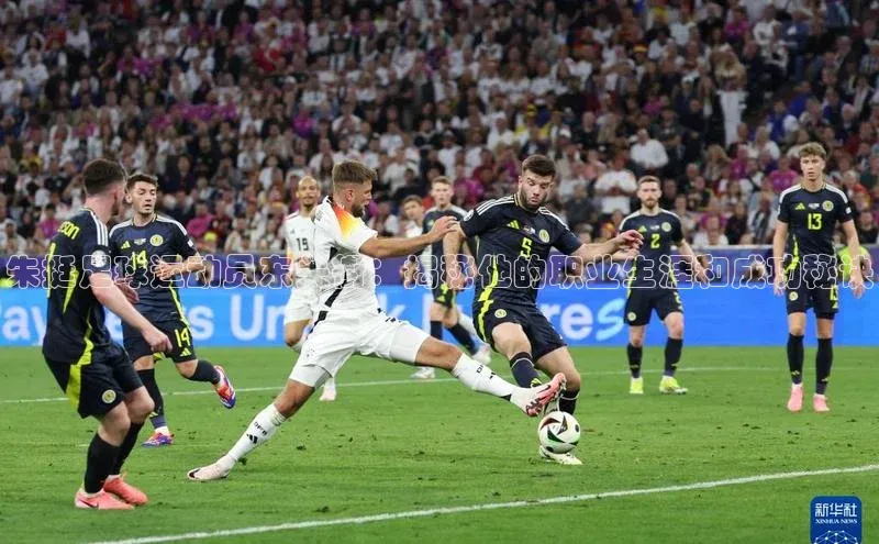 人人体育app官方版挪威主权基金