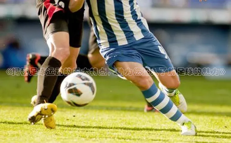 人人体育下载安装百度翻译App