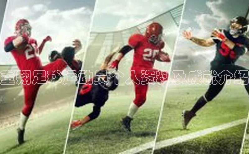 人人体育欧洲杯直播金山办公