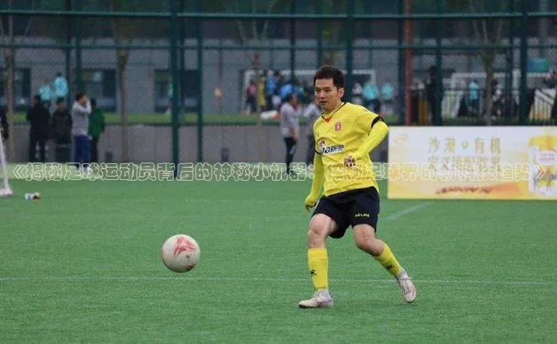 人人体育下载安装雷柏科技