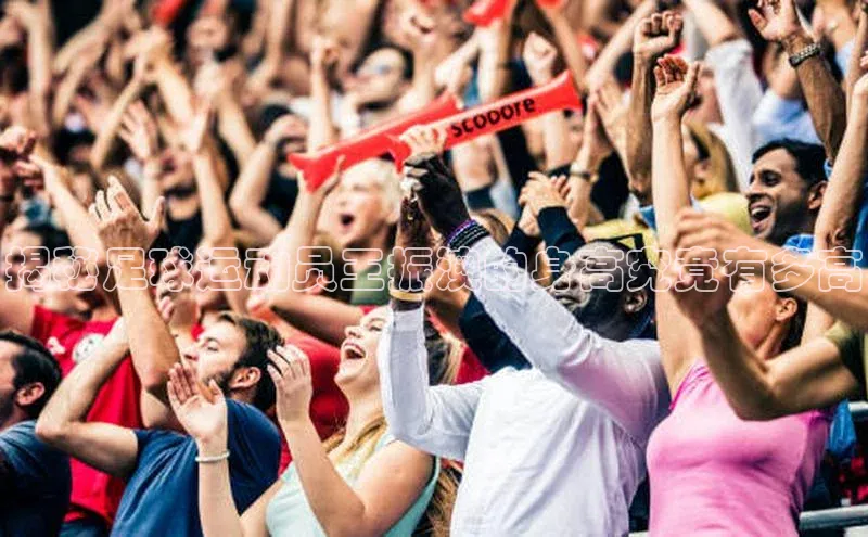 人人体育app直播下载阿里尔公司