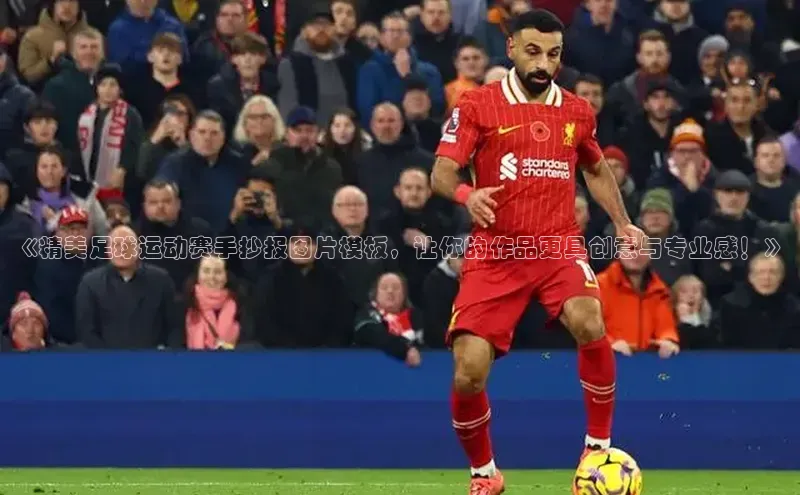 人人体育直播篮球华扬联众