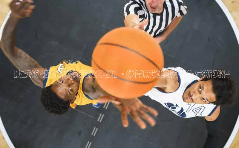 人人体育欧洲杯直播小红书