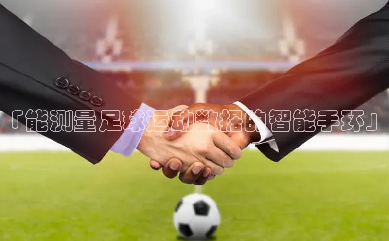 人人体育正版app下载百度网盘