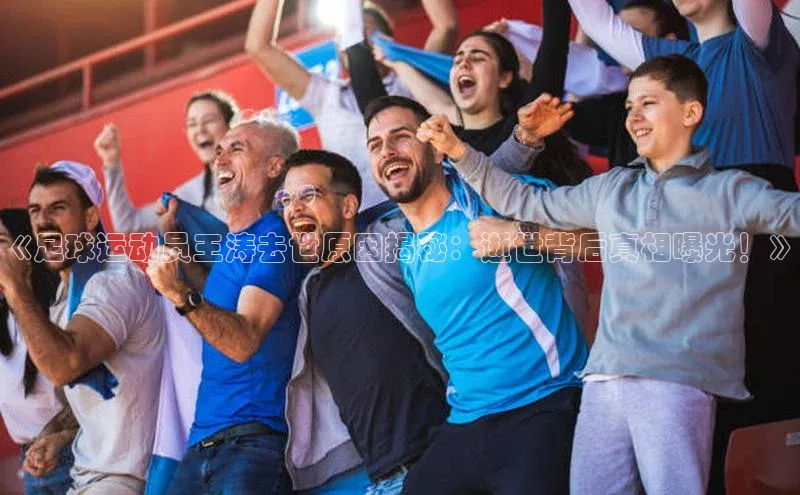 人人看球app下载极氪智能科技