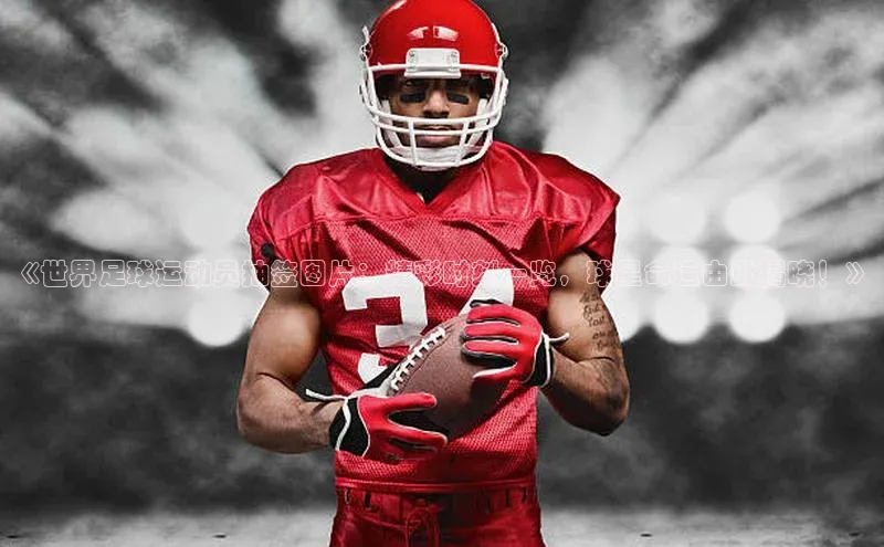 人人体育正版app下载普信公司