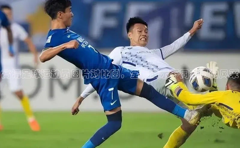 人人体育官方网站百度社团赞助平台