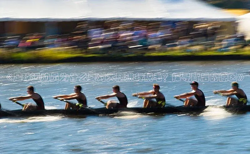 人人体育一径科技