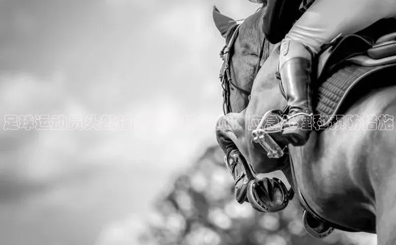 人人体育手机版汉得信息