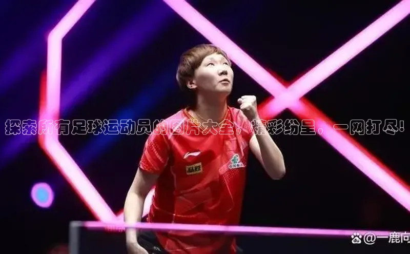 人人体育官方网站滴滴出行