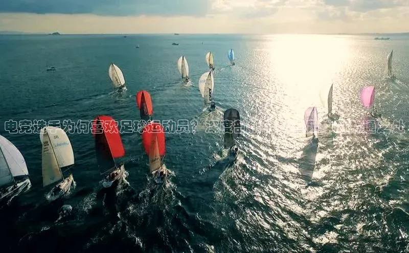 人人看球app下载极氪智能科技