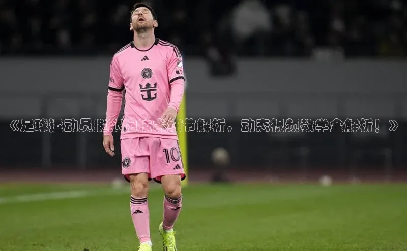 人人体育app安卓版中文在线