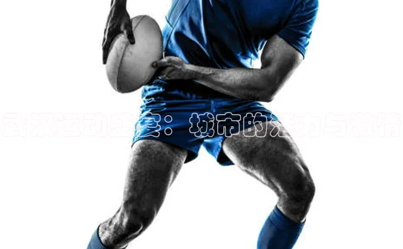 人人体育欧洲杯直播小红书