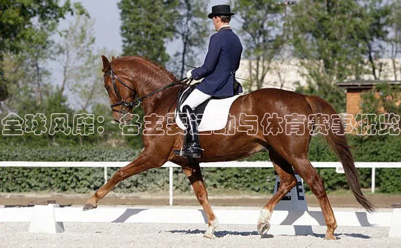 人人体育官方网站神思电子