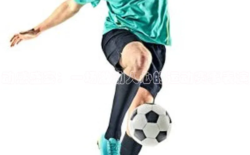 人人体育app安卓版