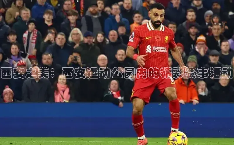 人人体育正版app下载