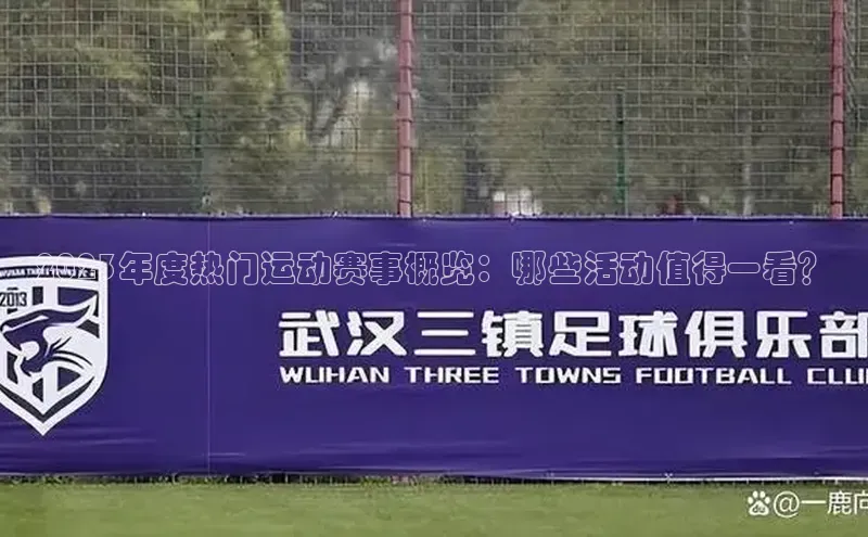 人人看球app下载