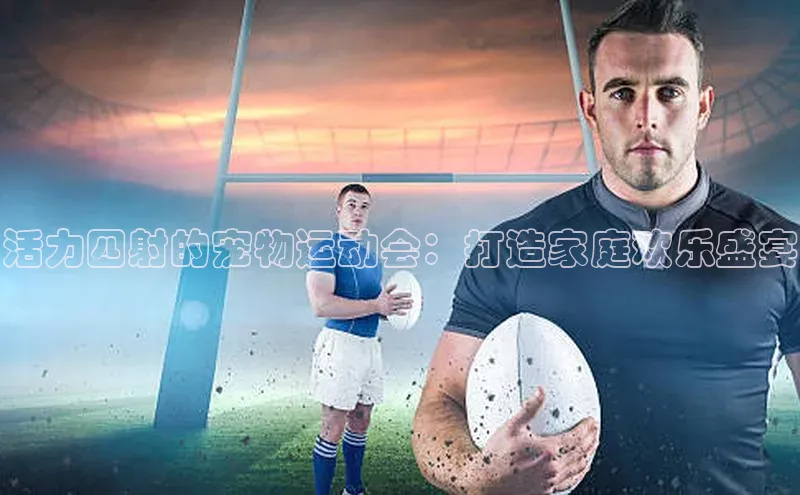 人人体育直播篮球