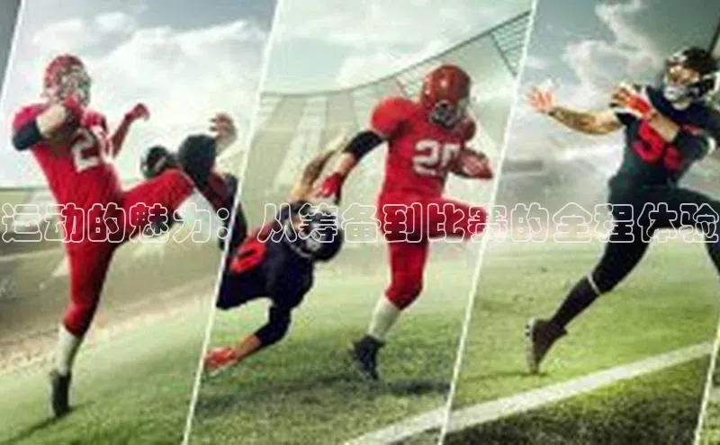 人人体育下载安装