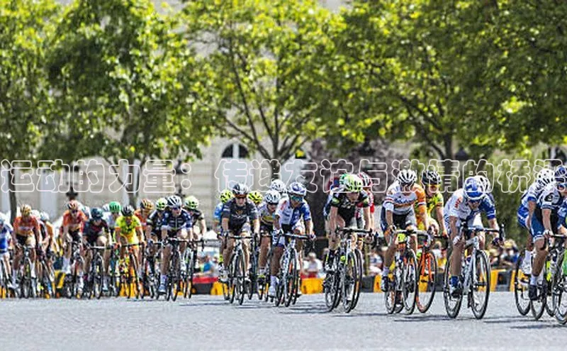 人人体育安卓下载