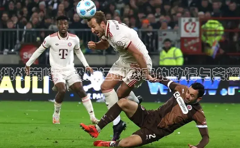 人人看球app下载