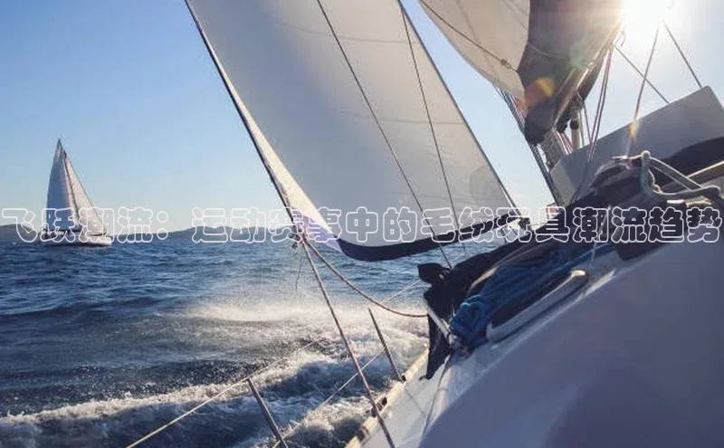 人人体育正版app下载