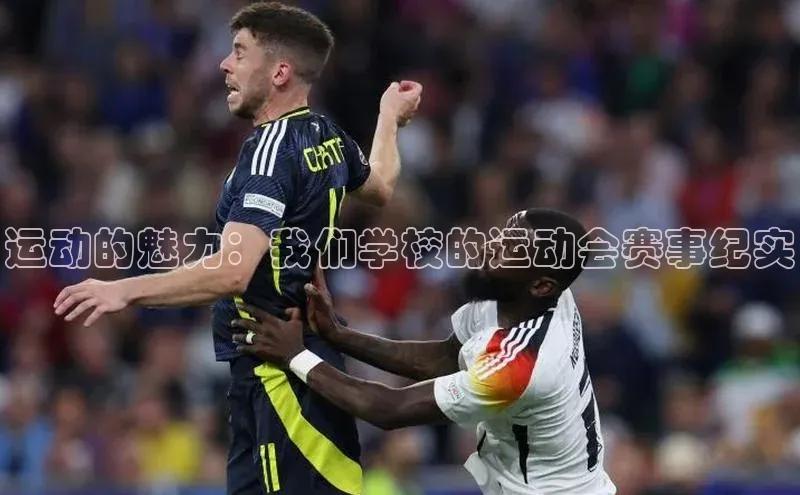 人人体育app官方版